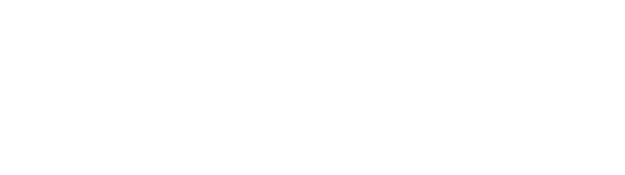Tes-X